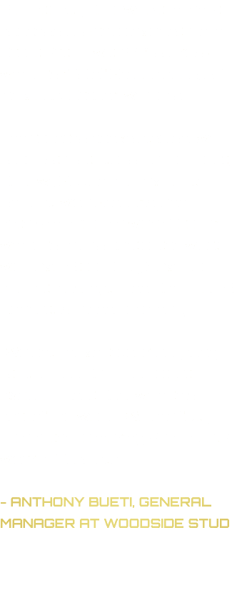 Statistically Dubawi is the most successful sire to ever stand in Great Britain with 271 stakes winners, 179 of Group...