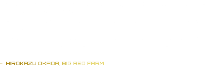 “We have given Benbatl every chance at Big Red Farm. His first crop (now yearlings) he covered 108 mares. His second ...